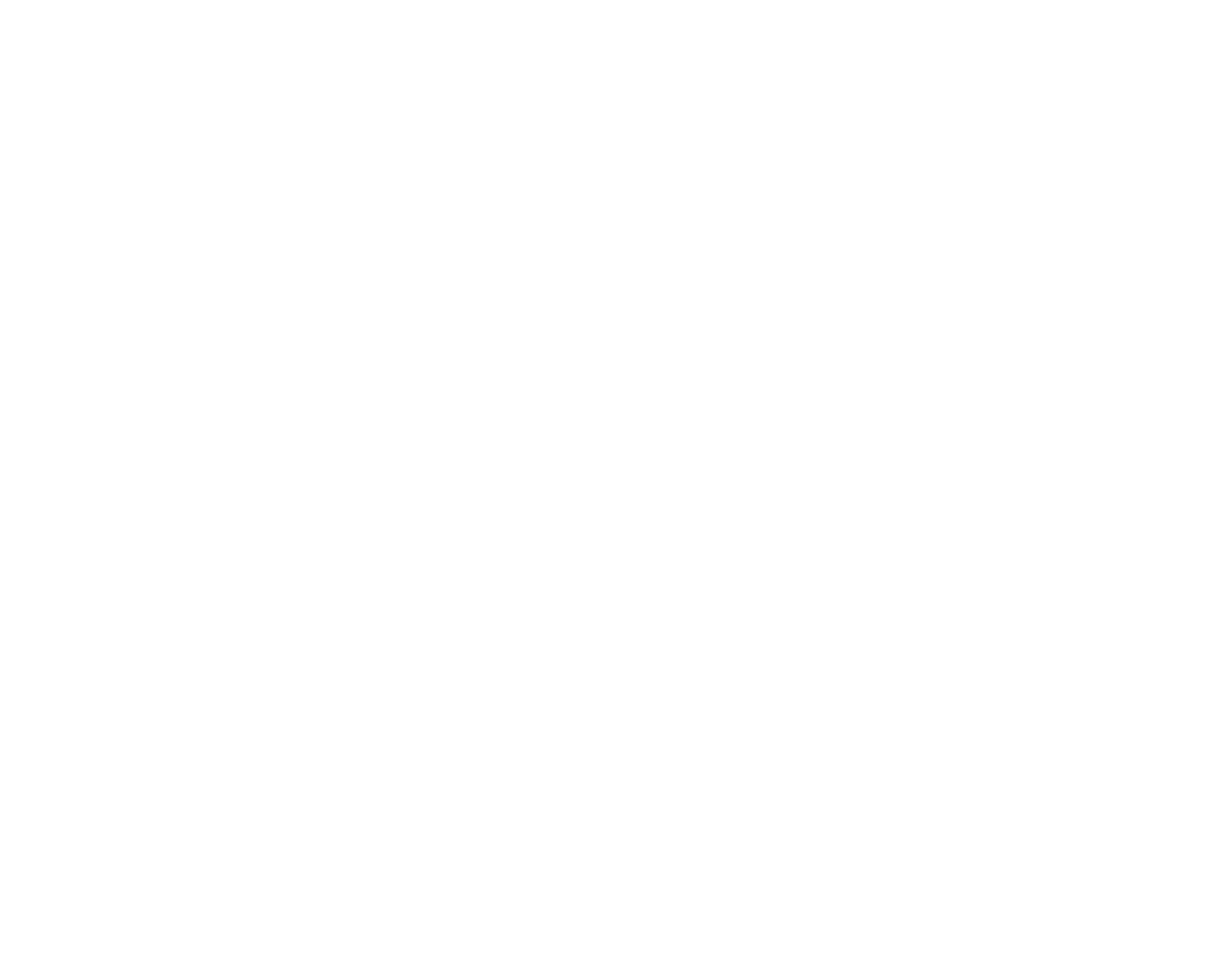 The Health Honchos